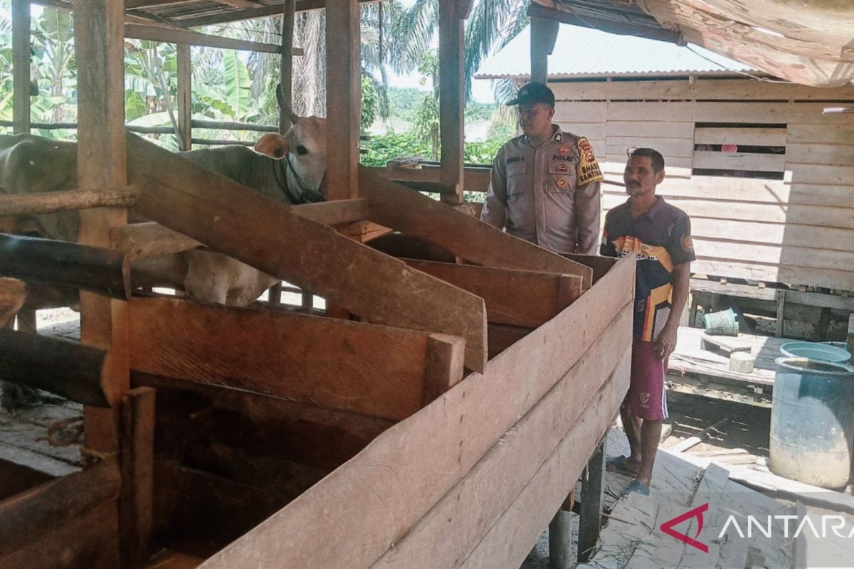 Image Print