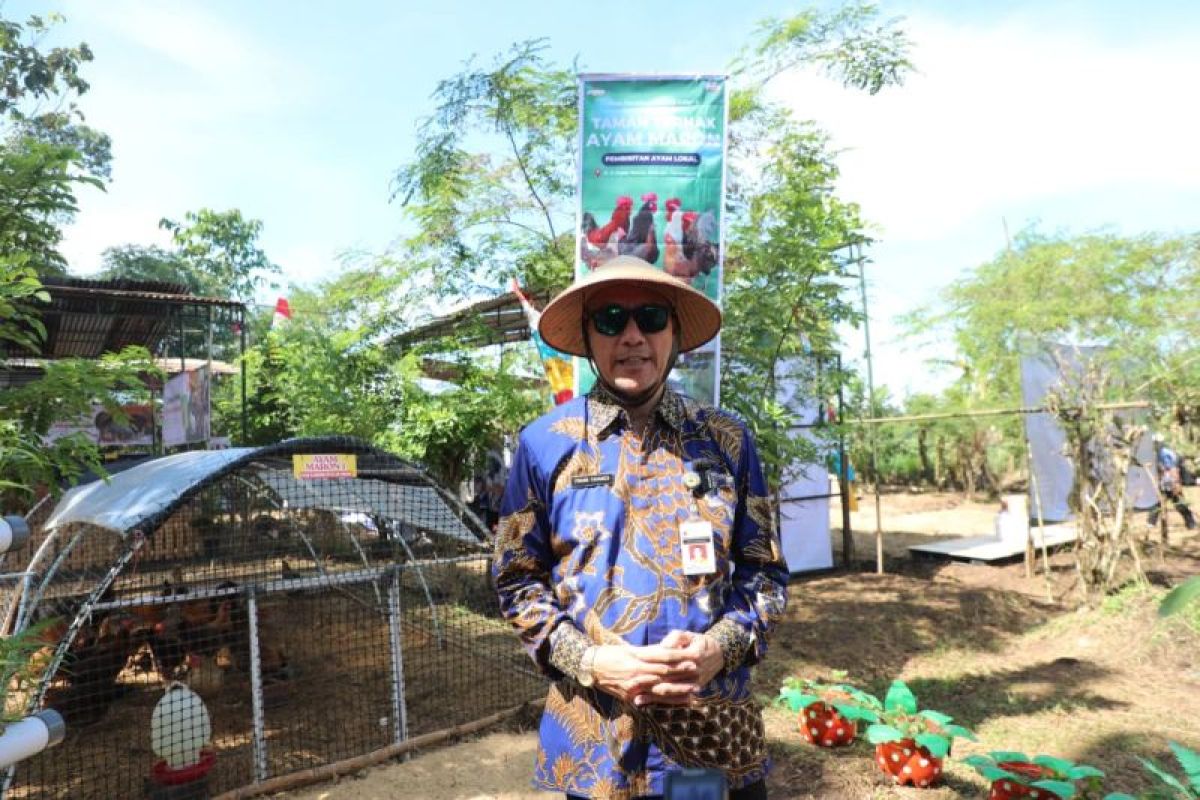Pemprov Jateng pastikan kebutuhan hewan kurban untuk Idul Adha 2026 surplus