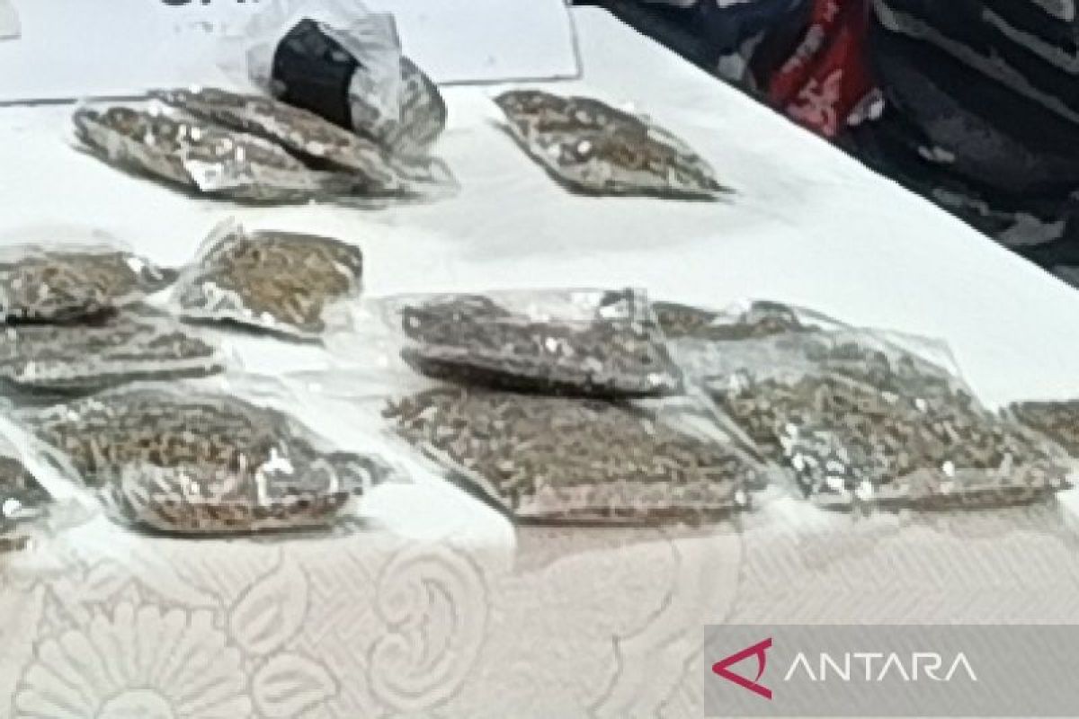 Kodaeral X tingkatkan patroli di perbatasan RI-PNG cegah penyelundupan