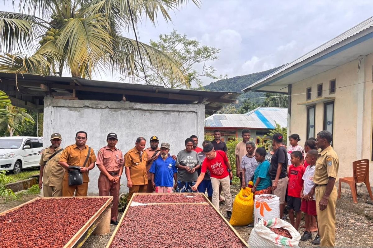Masyarakat Yapen di Papua yang menitipkan harapan pada kakao