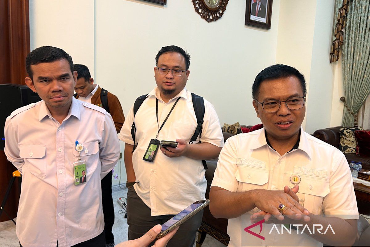 Bapanas: Pemerintah intervensi harga ayam dan telur cegah deflasi