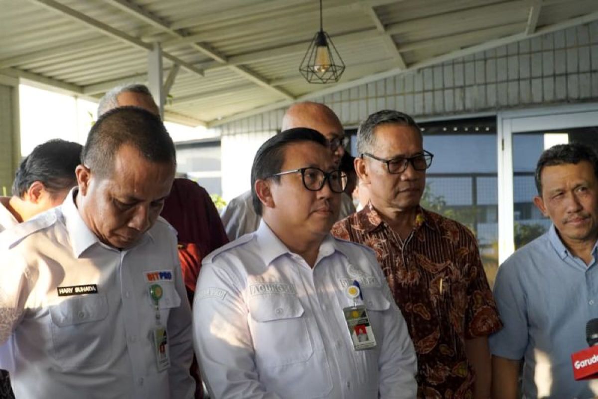 Kementan gandeng asosiasi perkuat stabilitas harga ayam hidup