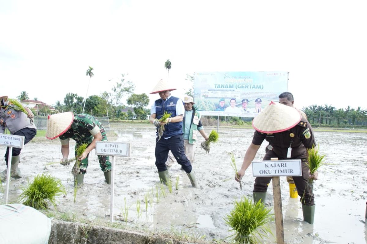Kabupaten OKU Timur canangkan gerakan tanam padi di Desa Srikaton, hadapi ancaman El Nino