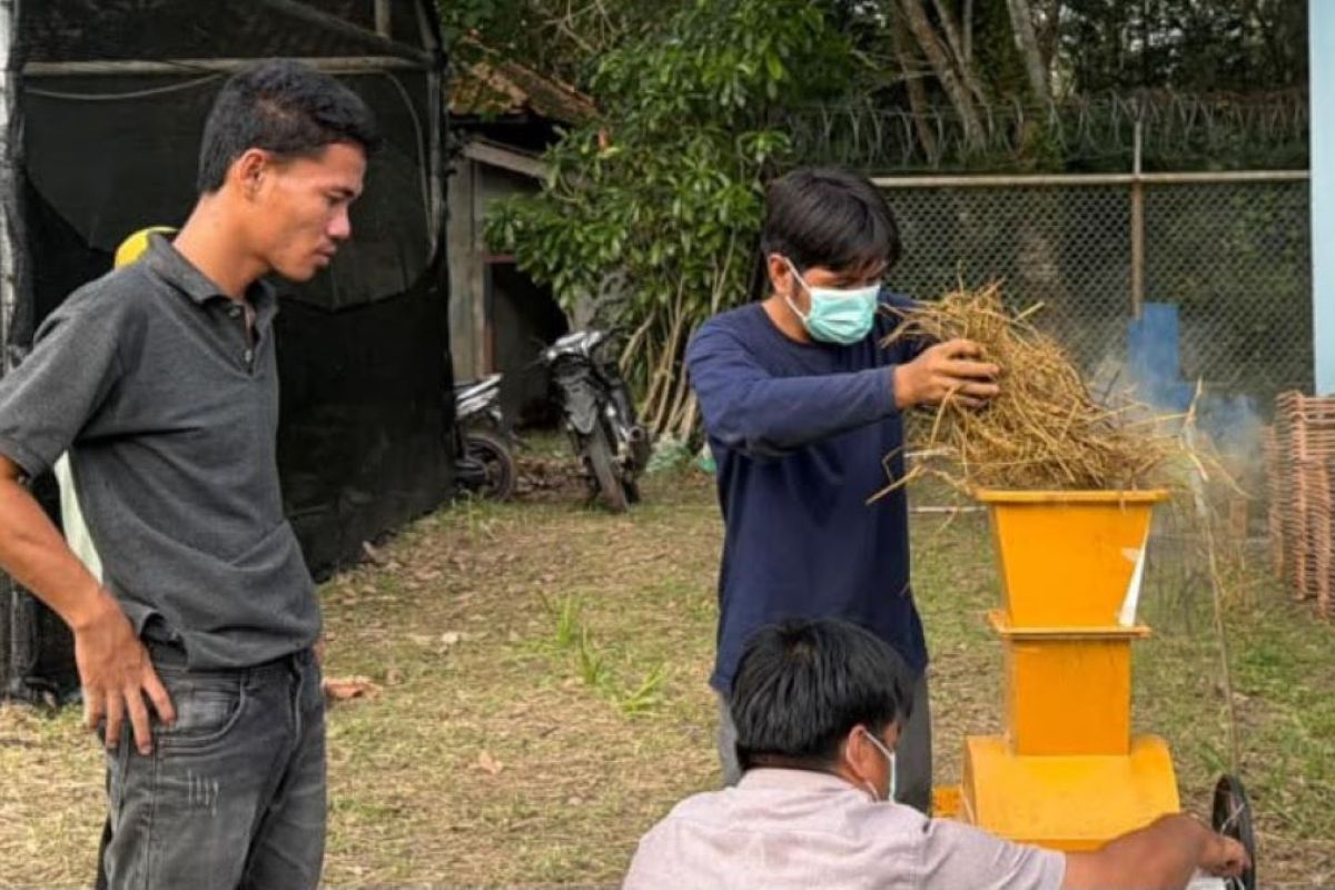 PEP Adera dampingi petani Pengabuan PALI tingkatkan penghasilan lewat olah jerami