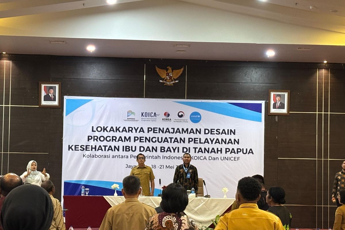 Pemprov-UNICEF bahas penurunan angka kematian ibu dan bayi di Papua