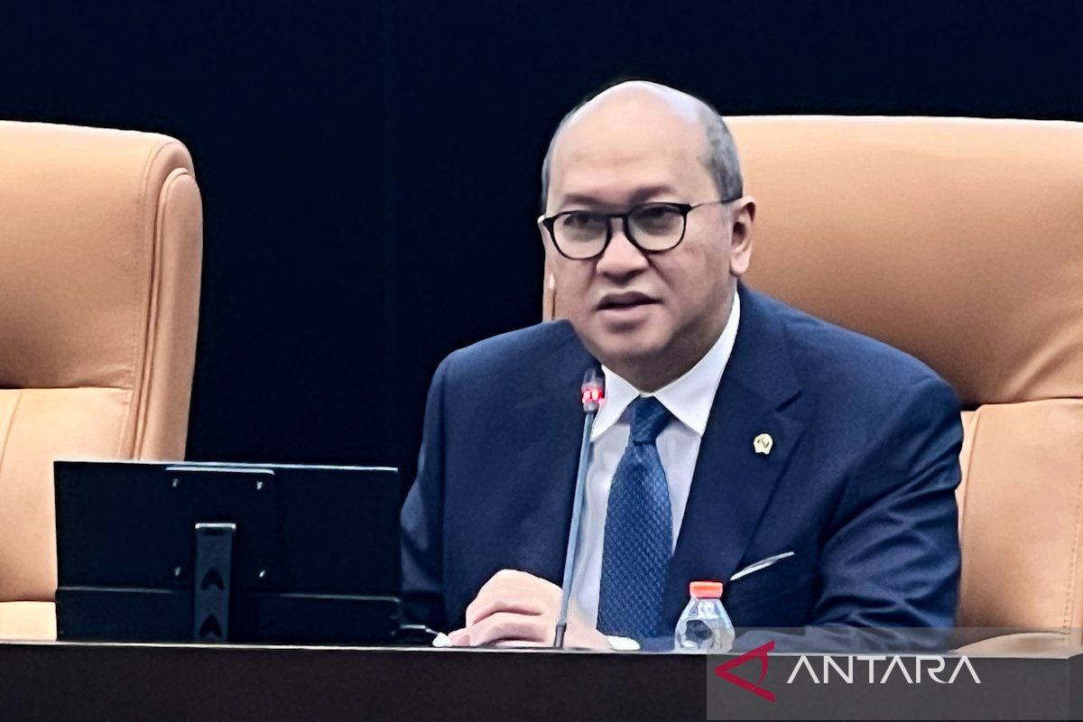 Rosan sebut pembentukan DSI cegah potensi 