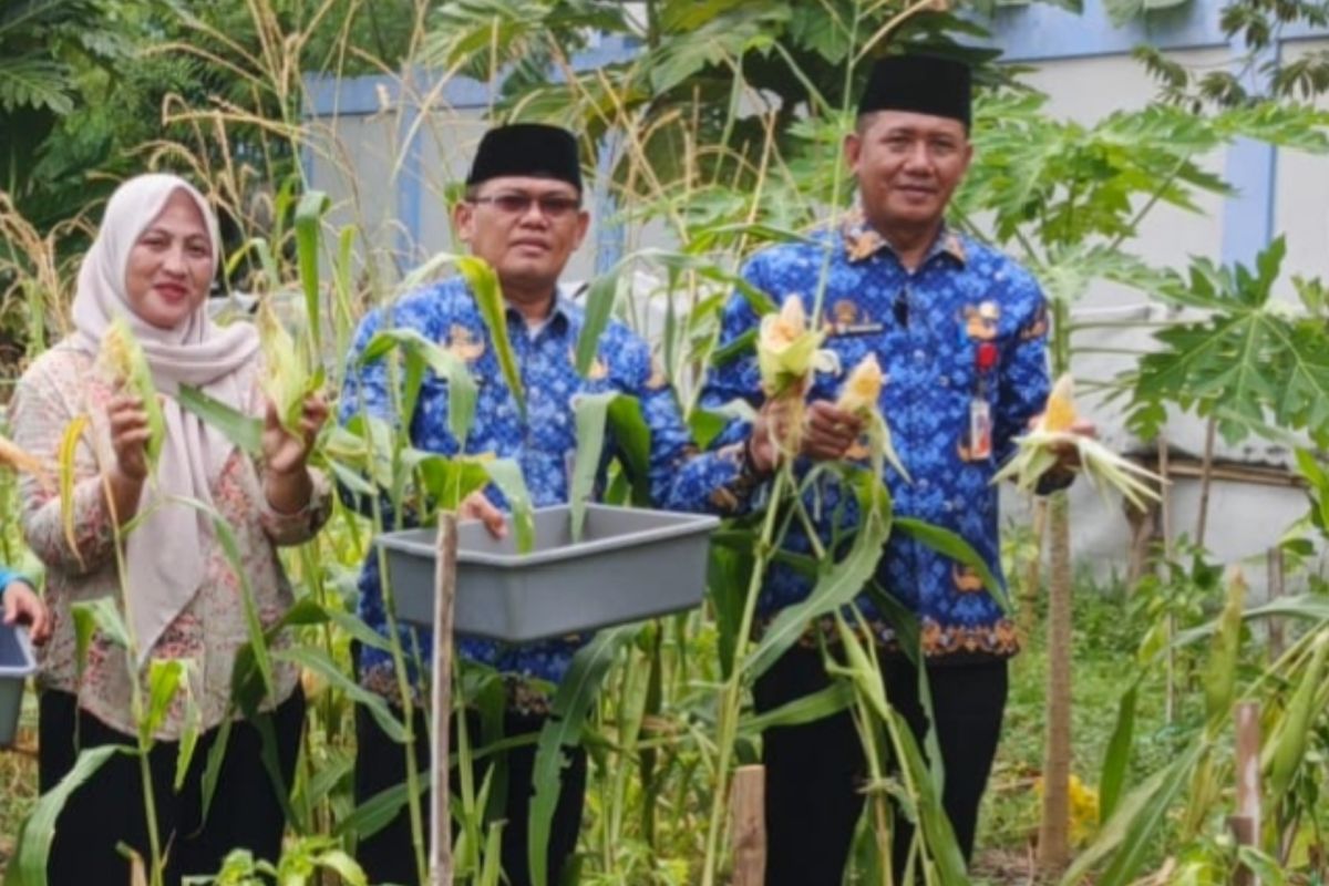 Kelurahan Pulau Untung Jawa panen jagung di momentum Harkitnas