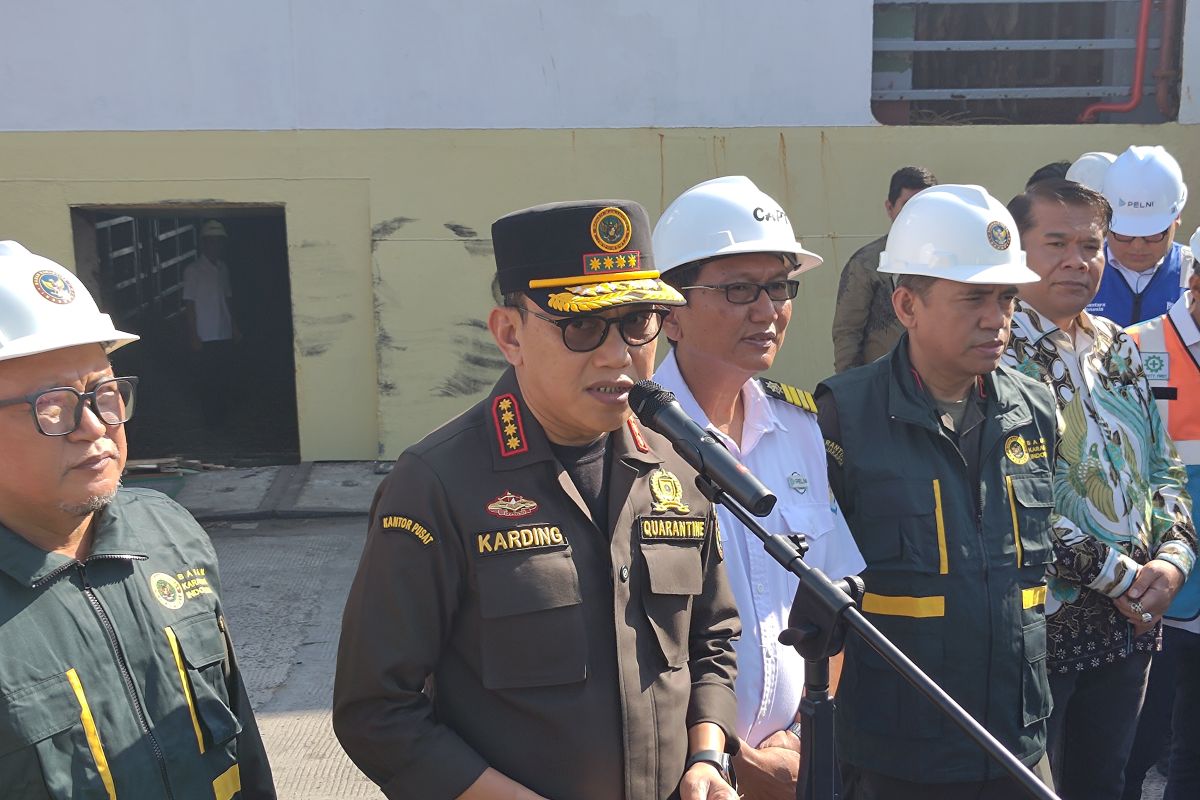 Barantin catat lalu lintas sapi naik 70 persen jelang Idul Adha 2026