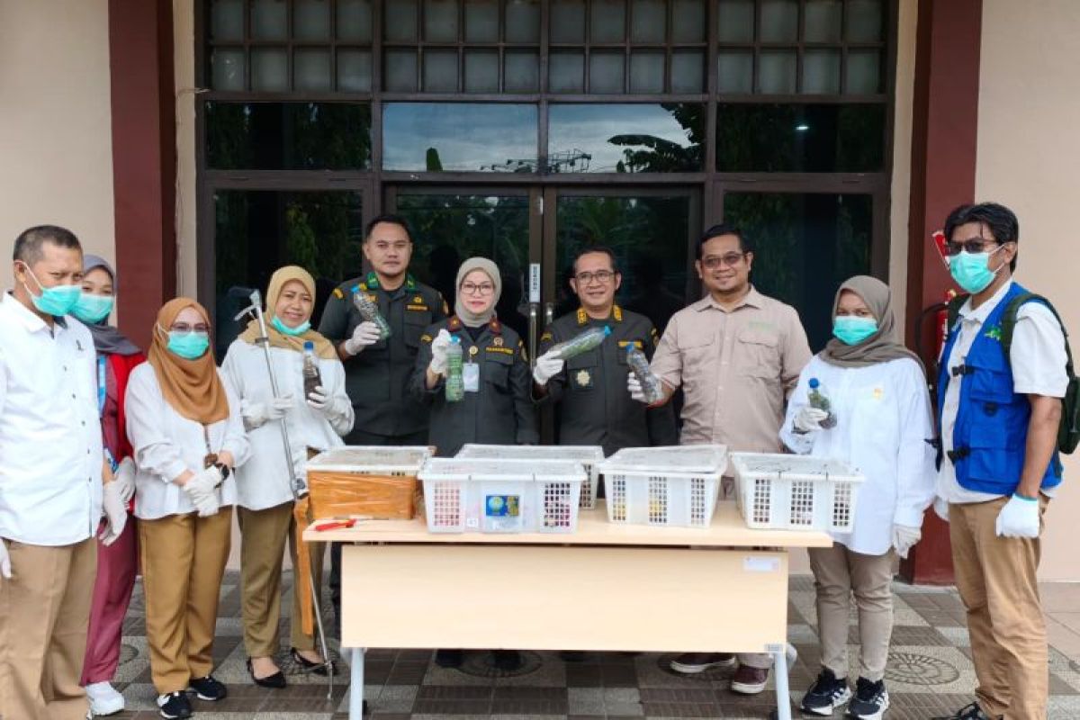 Barantin serahkan puluhan reptil hasil tangkapan kepada BBKSDA Sulsel