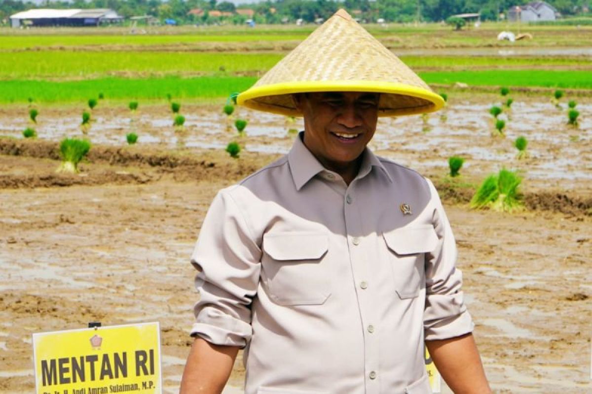 Pemerintah perkuat pengawasan beras demi cegah praktik mafia pangan