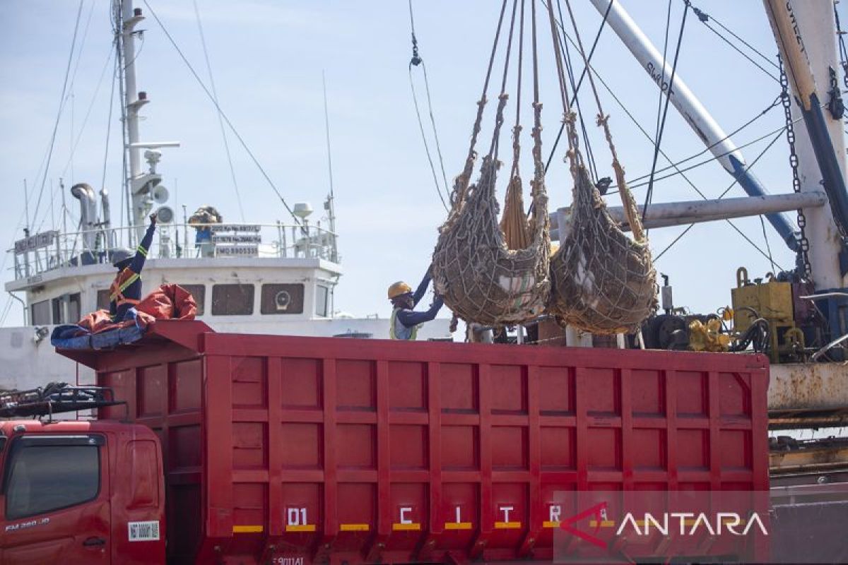 Aktivitas bongkar muat nonpetikemas di Pelabuhan Cirebon