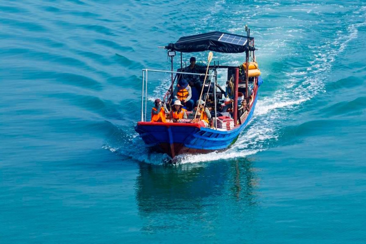 Dedikasi sukarelawan di China selamatkan burung dara-laut jambul