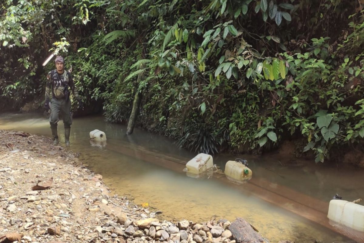 Kemenhut usut lebih dalam kasus kayu ilegal di TN Bukit Tiga Puluh