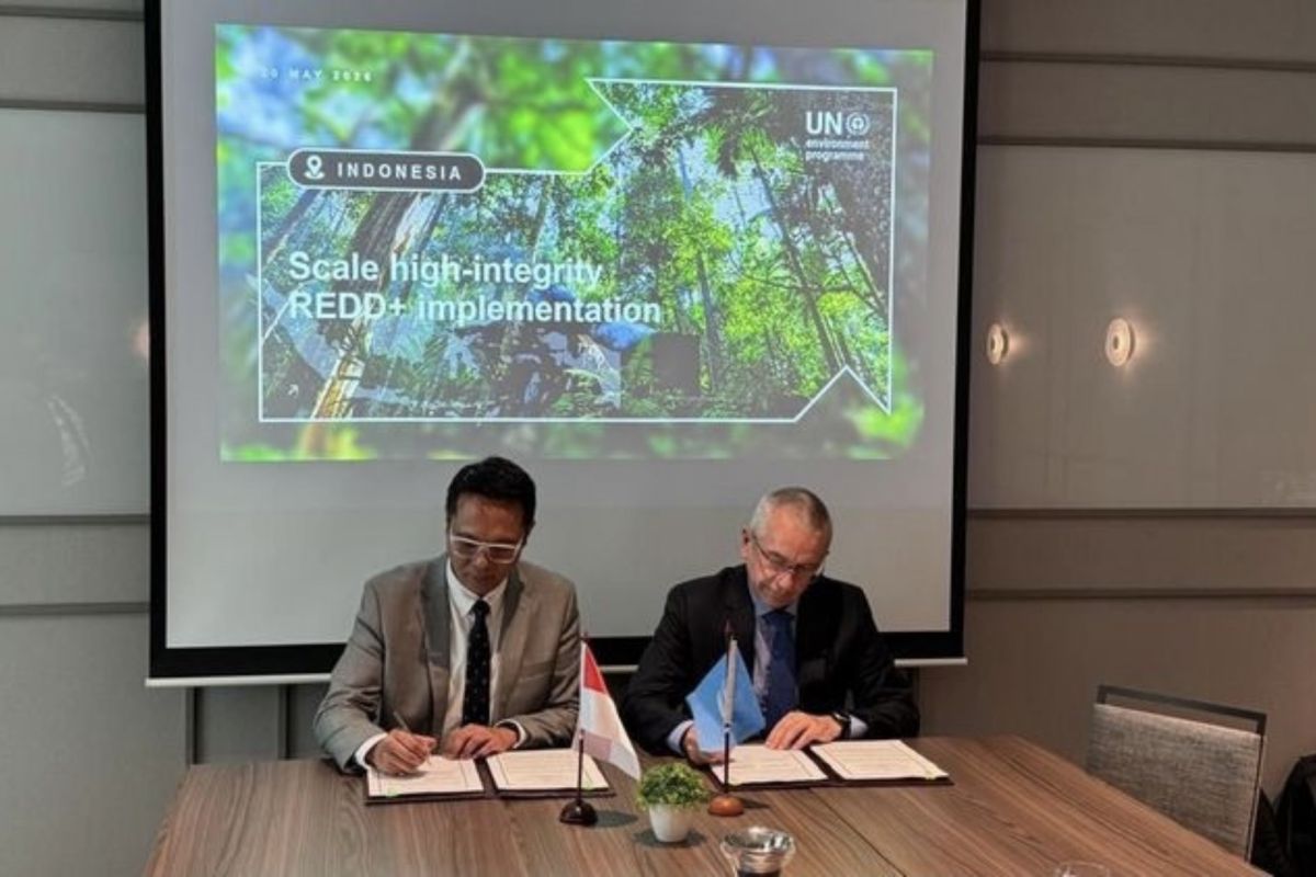 Kemenhut-UNEP teken penguatan kerja sama dalam proyek REDD+
