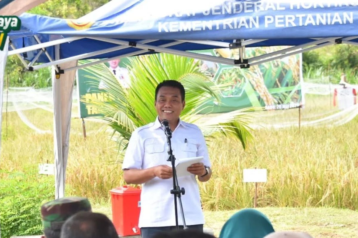 Pemkot Palangka Raya perkuat ketahanan pangan