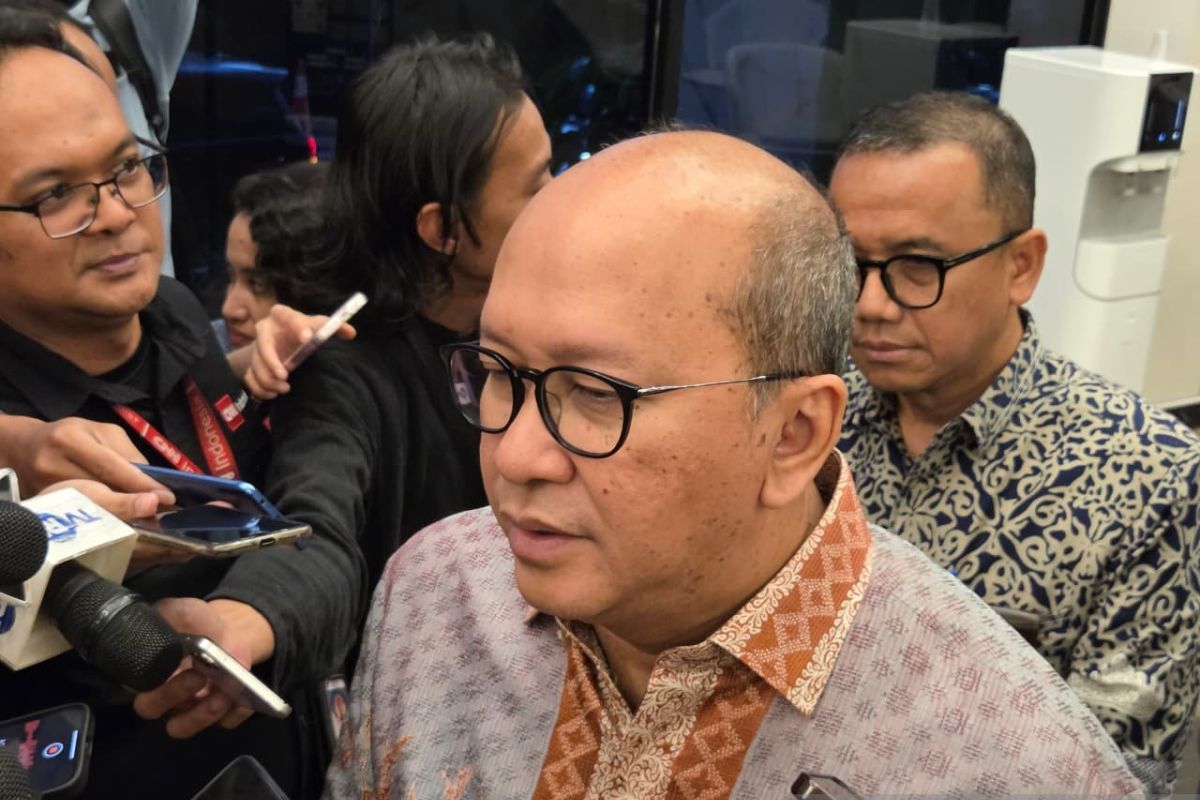 Rosan sebut DSI berkantor di Danantara, diresmikan pekan depan