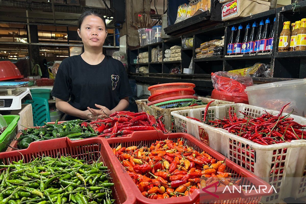 PIHPS: Harga cabai rawit Rp70.450/kg, telur ayam Rp28.900/kg