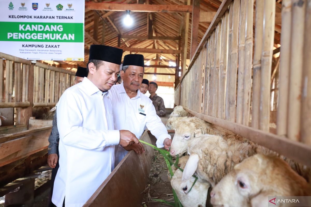 Baznas luncurkan Balai Ternak perkuat ekonomi peternak mustahik Tegal
