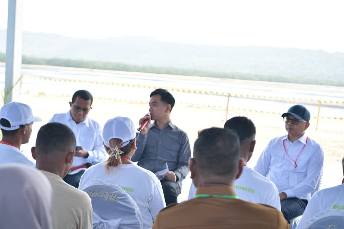 Wapres: Pengembangan garam di Rote Ndao dukung kebutuhan nasional