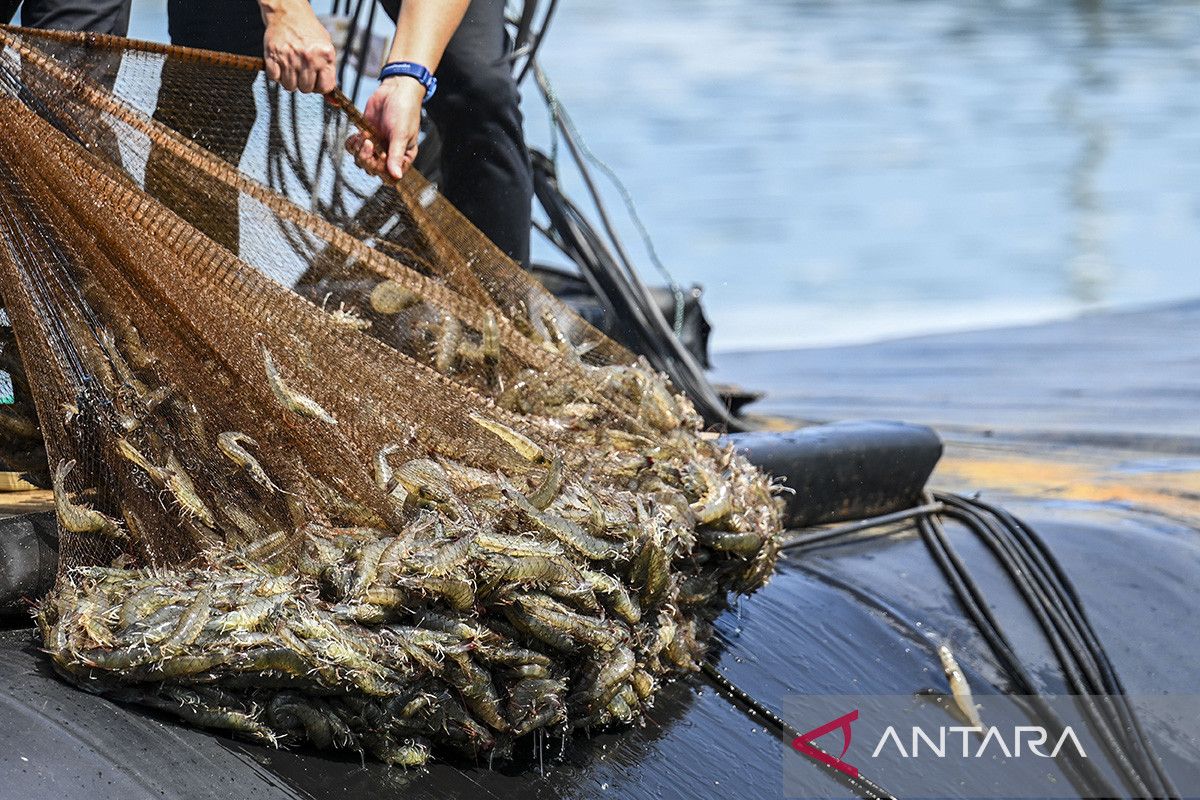 Inside Indonesia's big bet on fisheries for growth and food security