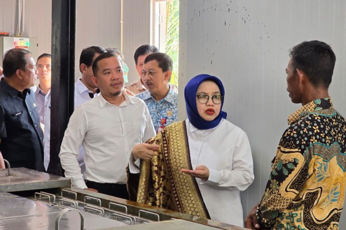 KSP tinjau KNMP di Banyuasin untuk pastikan berjalan tepat sasaran