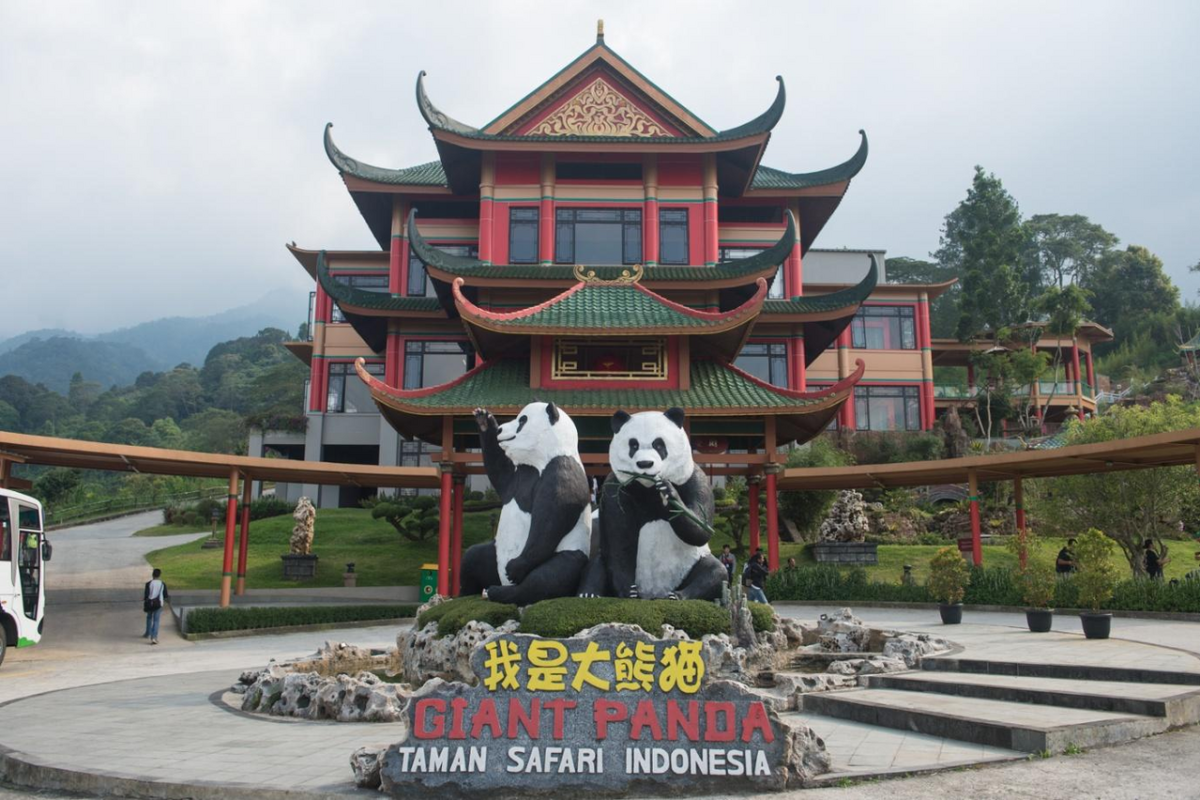 Bayi panda raksasa Rio siap diperkenalkan ke publik mulai akhir Mei