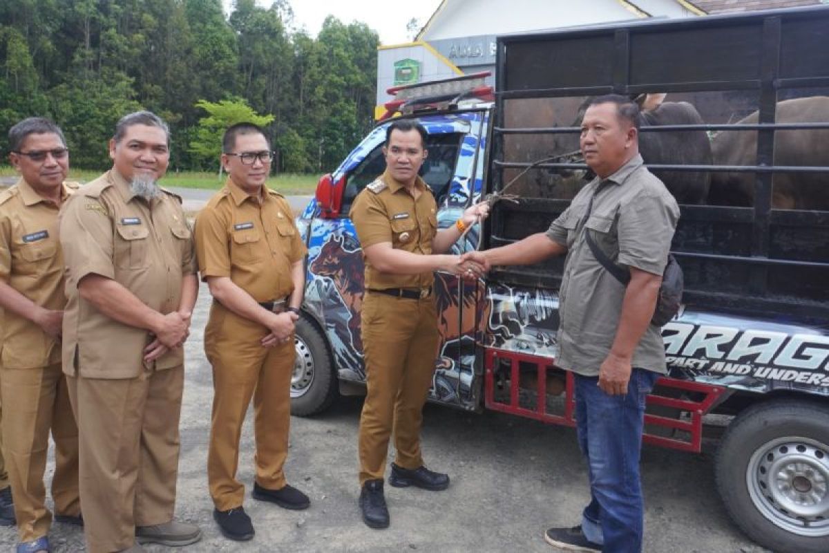 Pemkab Pulang Pisau terima bantuan tujuh ekor hewan kurban