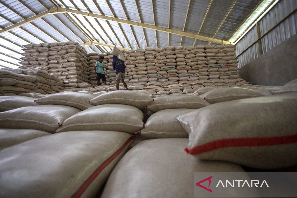 Beras melimpah! Bulog dorong kapasitas gudang hingga tujuh juta ton
