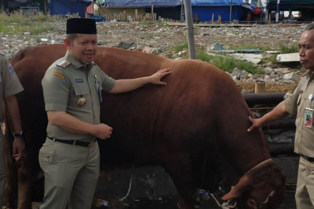 Pemkab salurkan 46 hewan ke pulau berpenduduk di Kepulauan Seribu