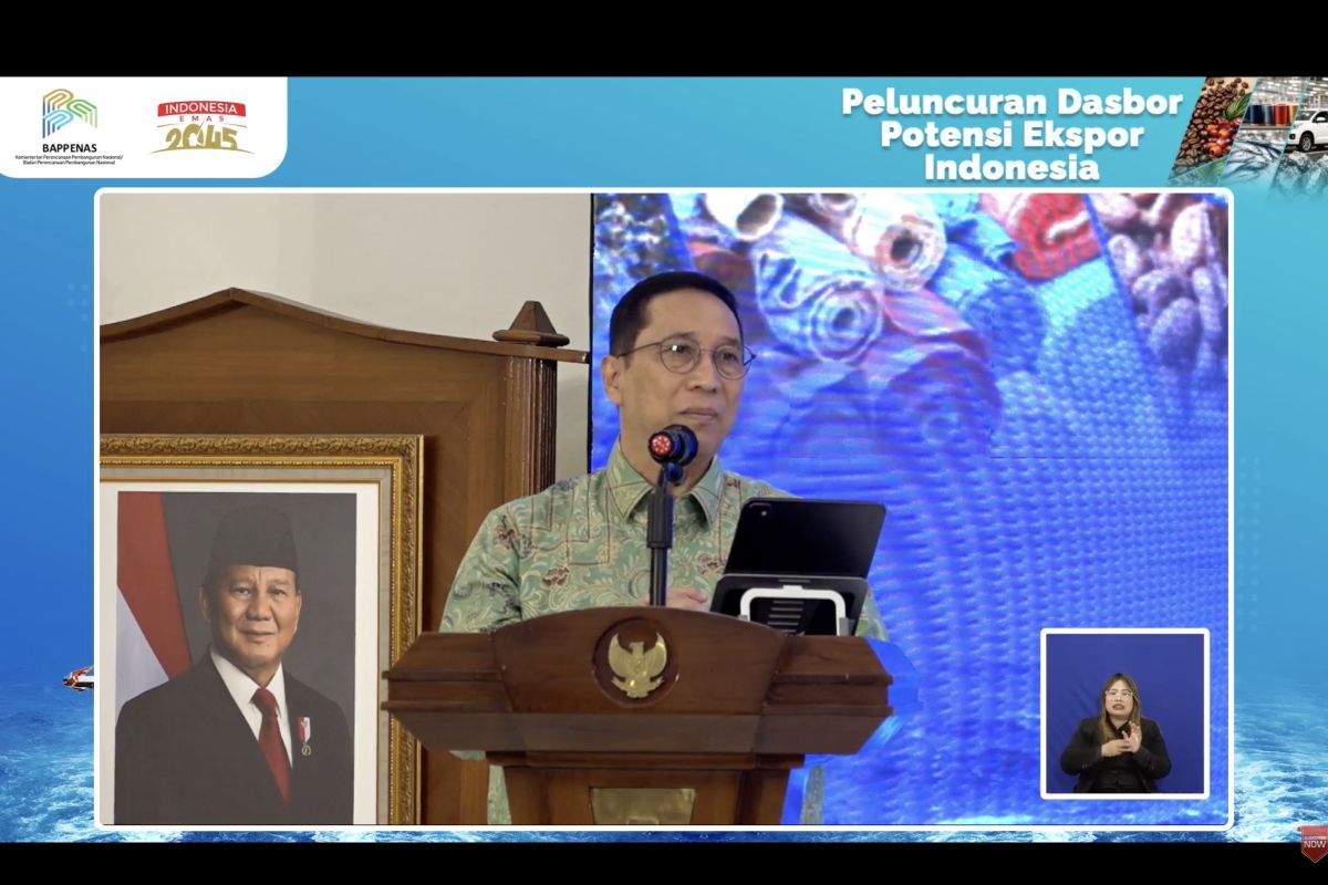 Wakil Menteri PPN: Transformasi ekspor butuh ekosistem kuat