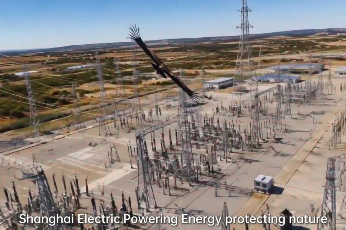 Peringati Hari Keanekaragaman Hayati Sedunia, Shanghai Electric Perkuat Praktik Ramah Lingkungan di Berbagai Proyek Lokal