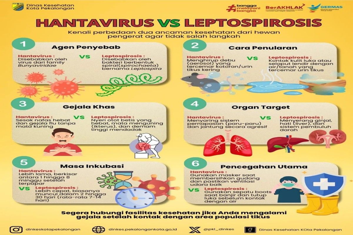 Pemkot Pekalongan masifkan kampanye gerakan kebersihan rumah cegah hantavirus