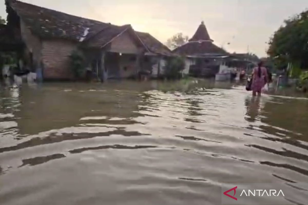 Banjir di Pati rendam pemukiman warga akibat luapan sungai