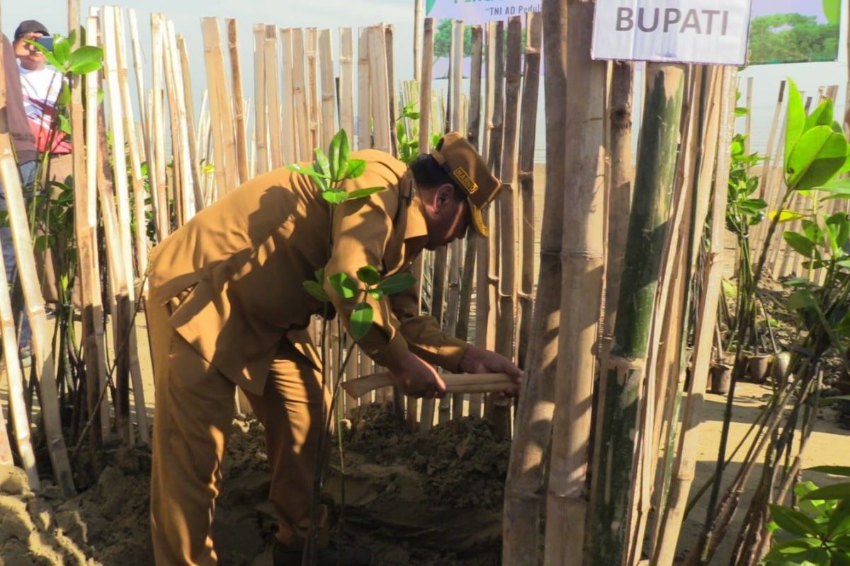 Kodim dan Pemkab Rembang tanam 1.000 mangrove di pesisir Pasar Banggi