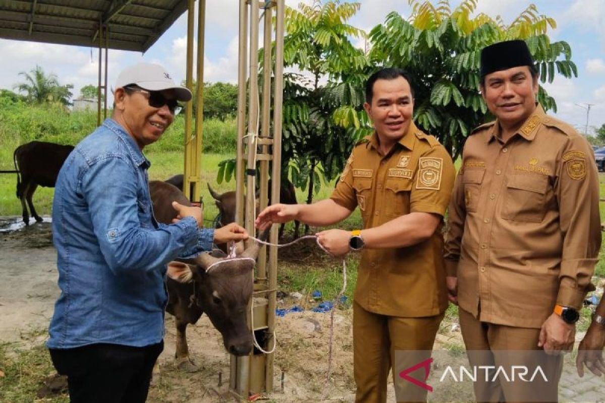 Pemkab Pulang Pisau salurkan 50 hewan kurban