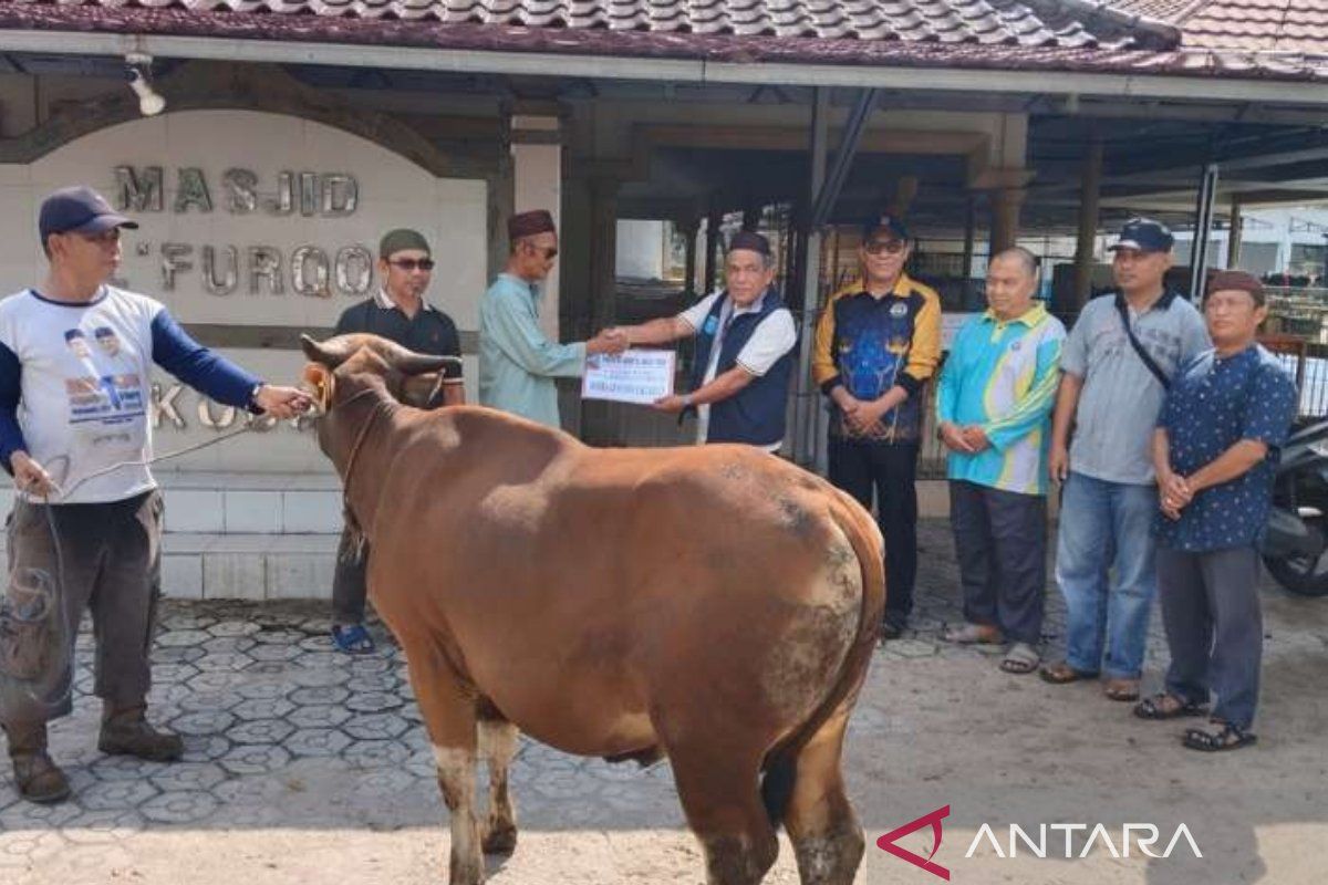 Mendorong "redesain" skema karitas kurban