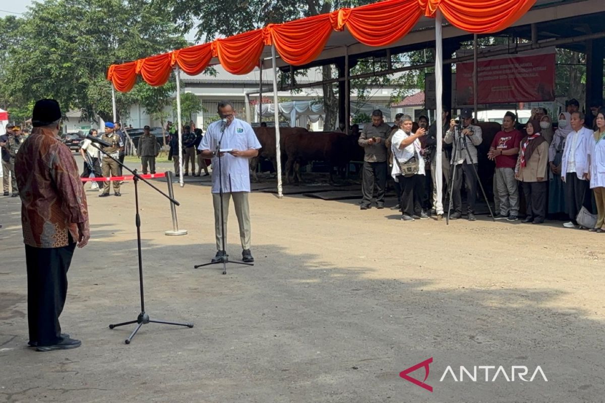 DKI koordinasi dengan daerah pemasok, pastikan hewan kurban sehat