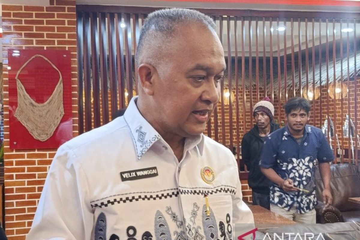 Komite Eksekutif Papua dorong internet umum di ruang publik Jayawijaya