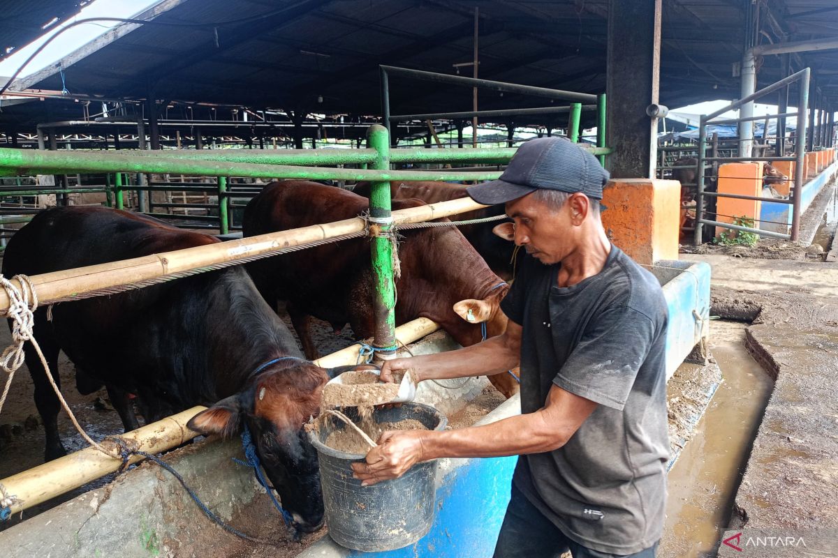 Pemkot Jaktim imbau warga jaga kebersihan saat penyembelihan kurban