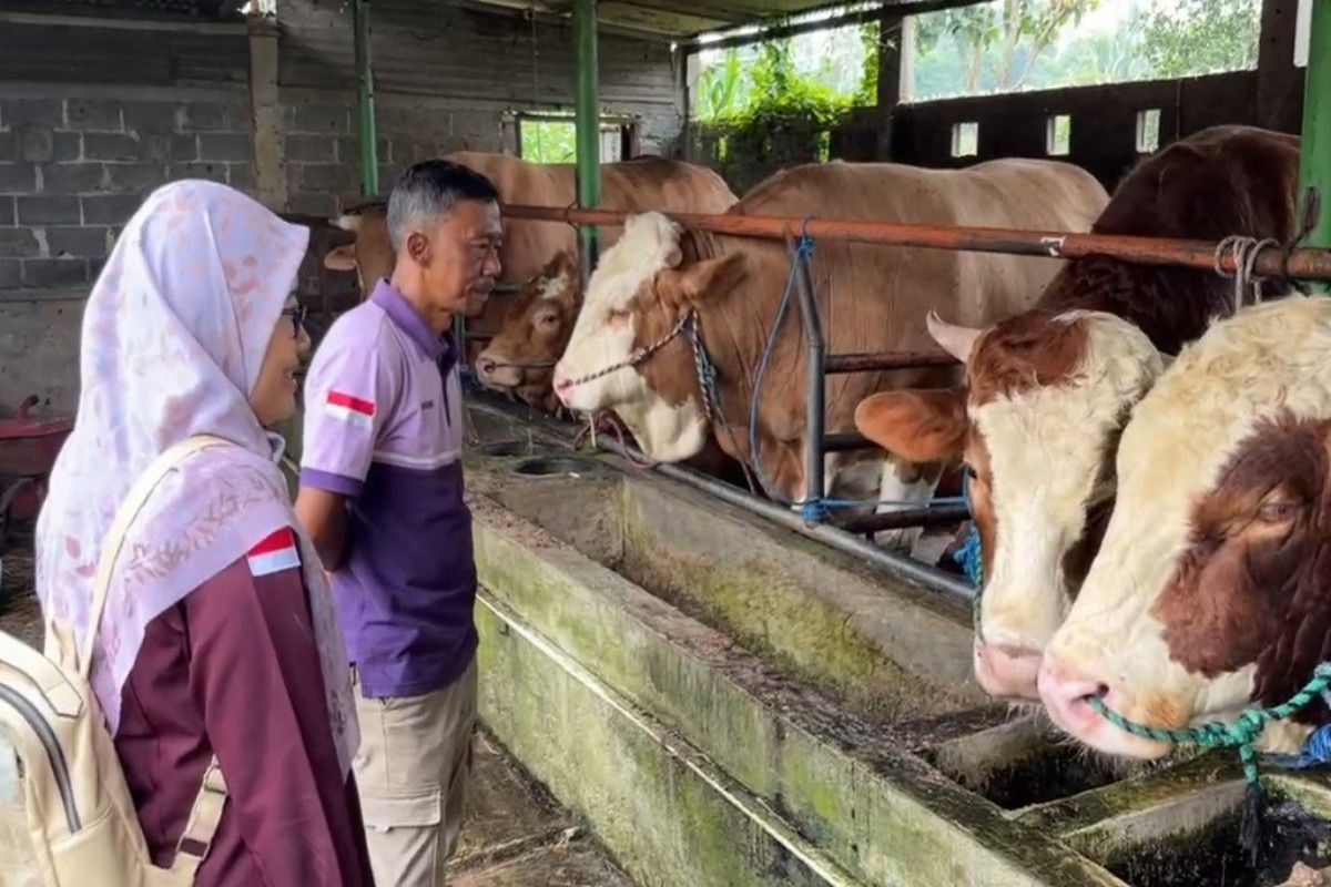 Pemkab Batang periksa kesehatan sapi kurban dari Presiden