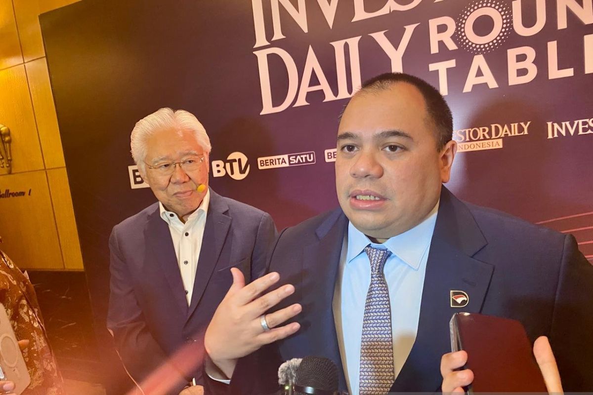 Danantara bakal rekrut talenta global untuk isi SDM di PT DSI