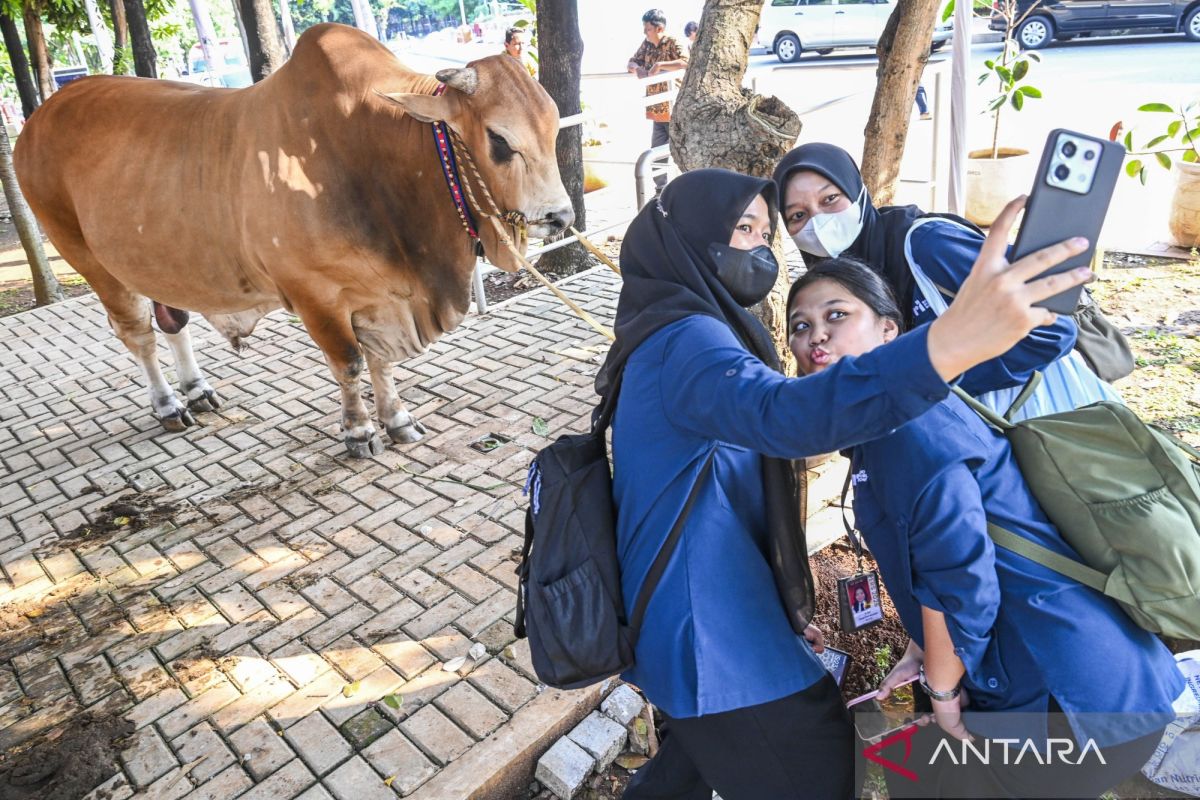 Menag: Momentum Idul Adha tidak sekedar ritual, tapi saling berbagi
