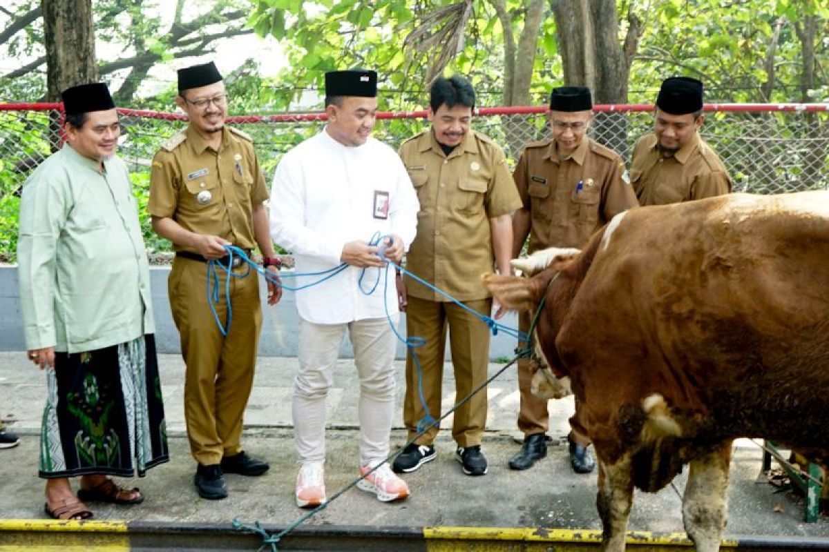 SIG salurkan 292 hewan kurban bagi masyarakat di 19 provinsi