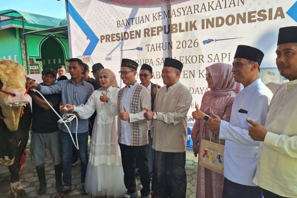 Masjid Al Hidayah Kendal menerima sapi kurban Presiden Prabowo seberat 1,1 ton