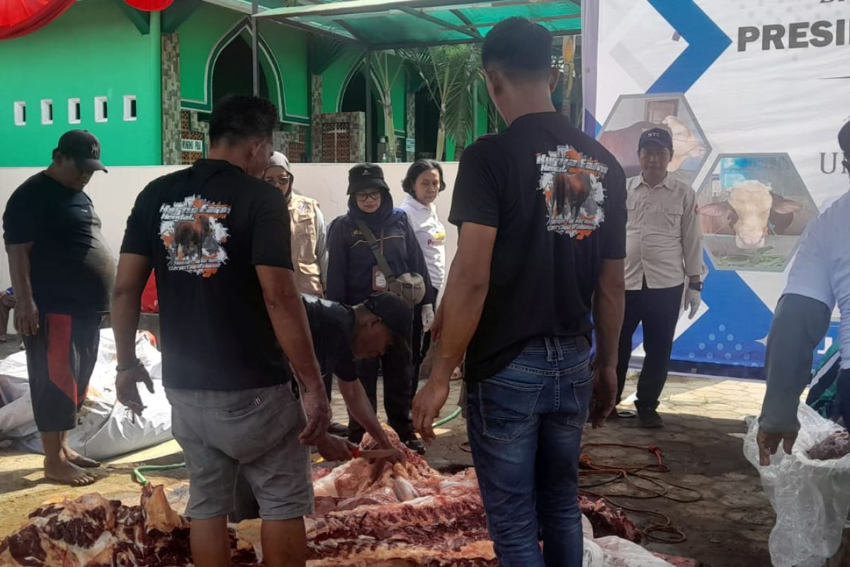 Kirim 8.633 Petugas untuk Awasi Pemotongan Hewan Kurban Idul Adha
