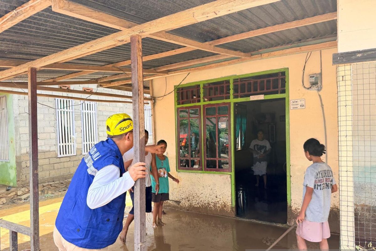 Sapi kurban bantuan presiden terdistribusi bagi warga terdampak banjir
