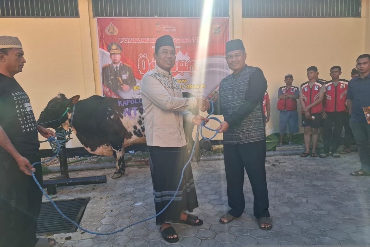 Polda NTT menyembelih 148 ekor hewan kurban untuk masyarakat