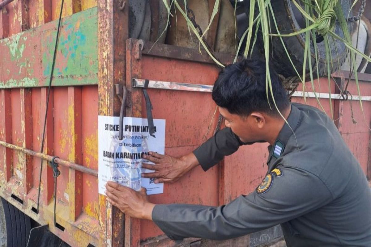 Baratin Sulsel perketat pengawasan pengiriman hewan kurban