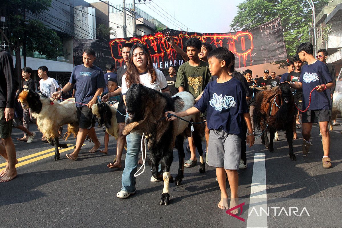 Tradisi pawai hewan kurban di Malang