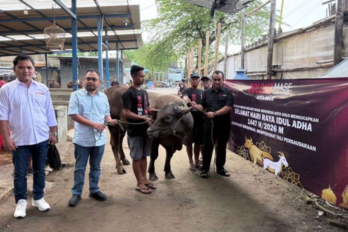 Bolone Mase Indonesia salurkan tiga sapi dan enam kambing kurban pada Idul Adha di Solo
